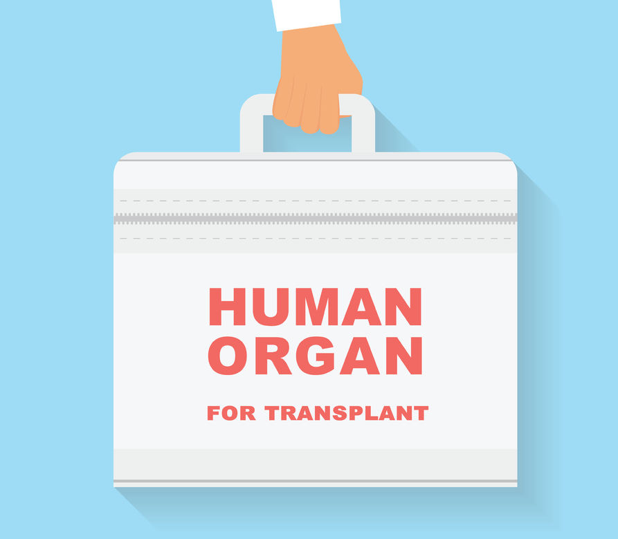 Organ Sale And Its Effect On Society