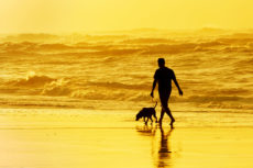 34759653 - person walking the dog on the beach at sunset